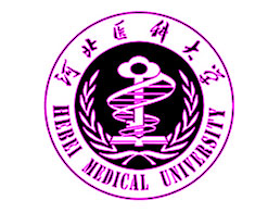 �ӱ�ҽ�ƴ�ѧ����,�ӱ�ҽ�ƴ�ѧ��������ѧԺ,�ӱ�ҽ�ƴ�ѧ���˽���