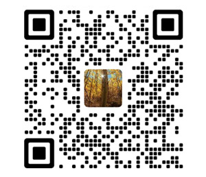 ���ڱ�����ʼ��